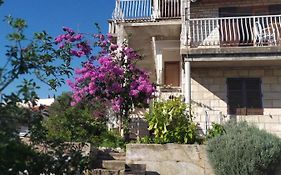 Honey Bee Cavtat