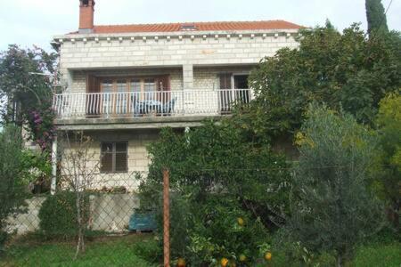 Apartament Honey Bee Cavtat Zewnętrze zdjęcie