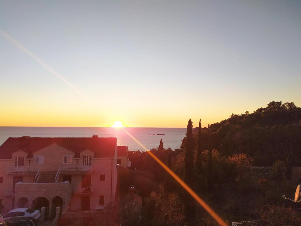 Apartament Honey Bee Cavtat Zewnętrze zdjęcie