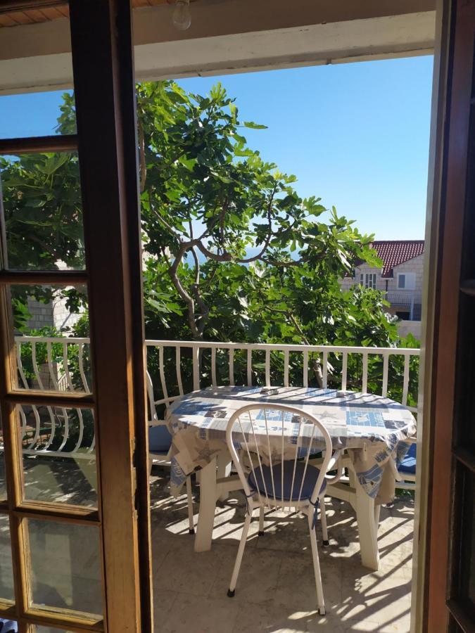 Apartament Honey Bee Cavtat Zewnętrze zdjęcie